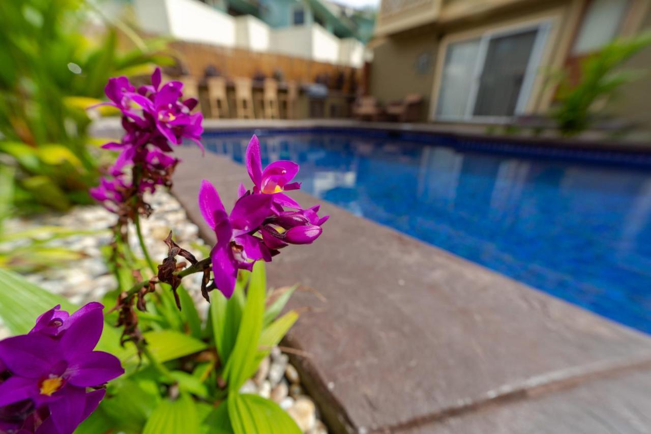 Studio With Mini Kitchen, Pool And Bbq, Pre-Renovation Summer Sale קיהיי מראה חיצוני תמונה